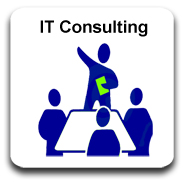 IT Consulting