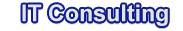 IT Consulting